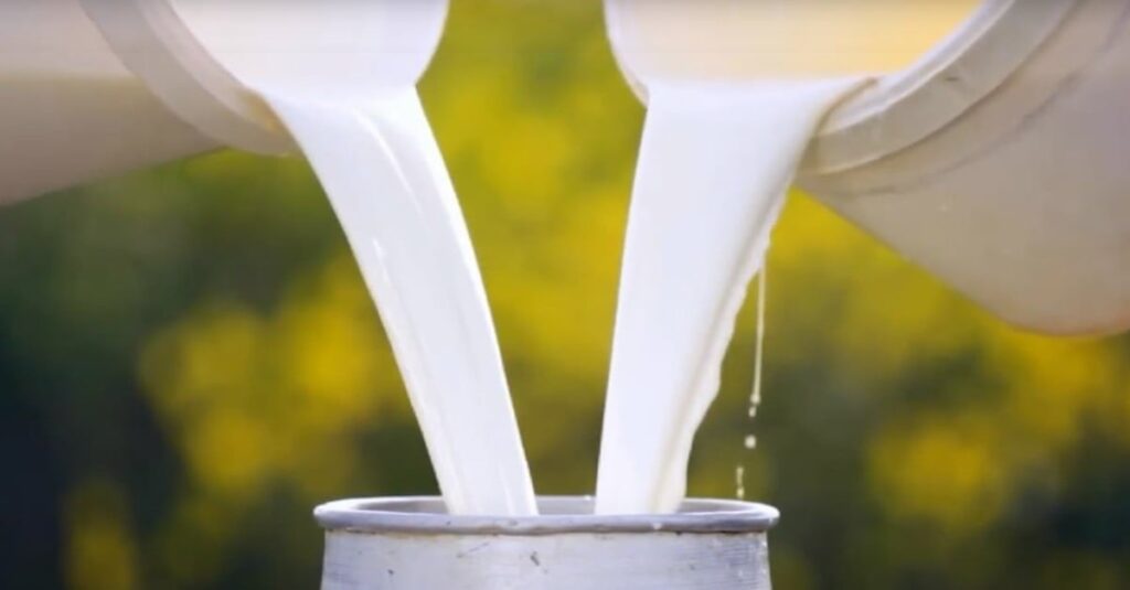 Preço ao produtor do leite continua em 'queda livre', aponta Cepea
