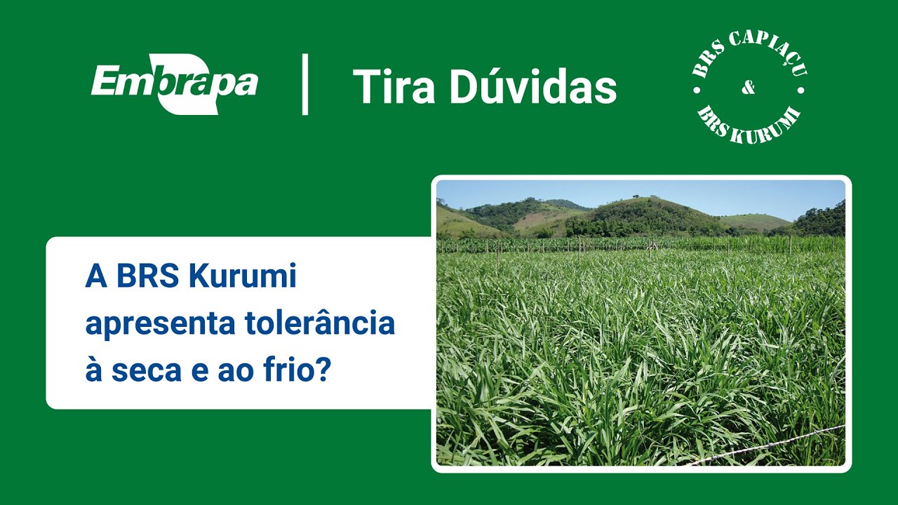 Frutas Ficam Espalhadas Pela Pista Após Acidente Na BR 277 2024