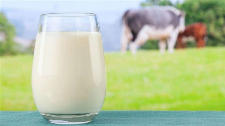 Aumente sua producao de leite