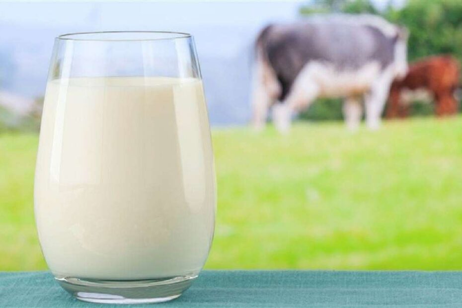 Aumente sua producao de leite