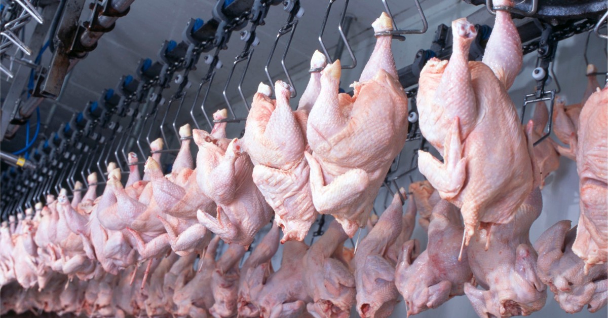 Plantas frigoríficas do PR e RS são habilitadas para exportar frango halal para a Malásia