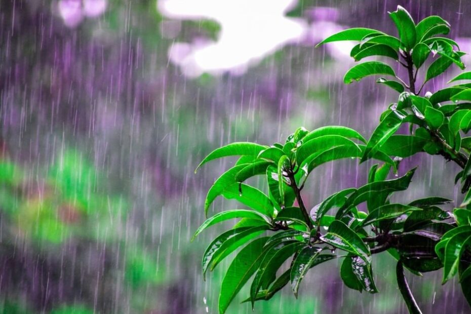 Resiliência: chuvas intensas ainda estão previstas para o RS e Sul do Brasil