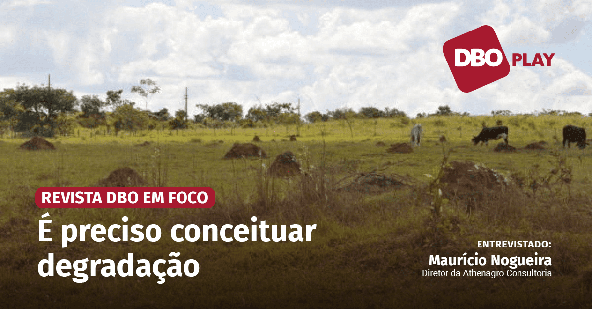 Classificar as pastagens nos diferentes níveis de degradação é o grande desafio, aponta Maurício Nogueira • Portal ... - Portal DBO
