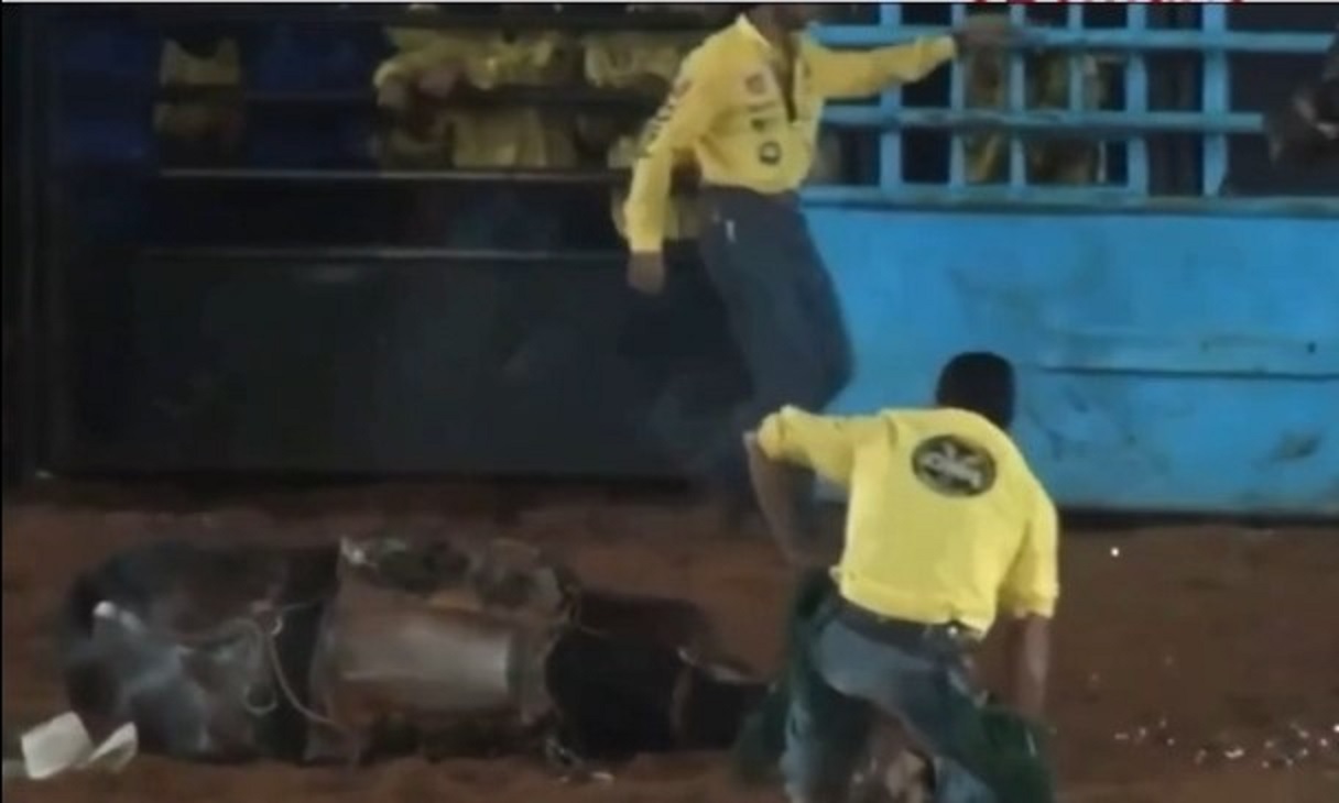 Vídeo: cavalo morre ao cair de cabeça no chão em rodeio no Paraná | CGN