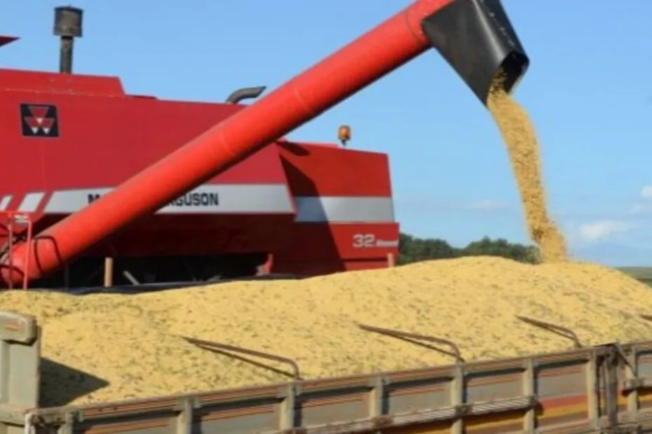 Colheita da primeira safra de grãos se encaminha para o fim em Santa Catarina