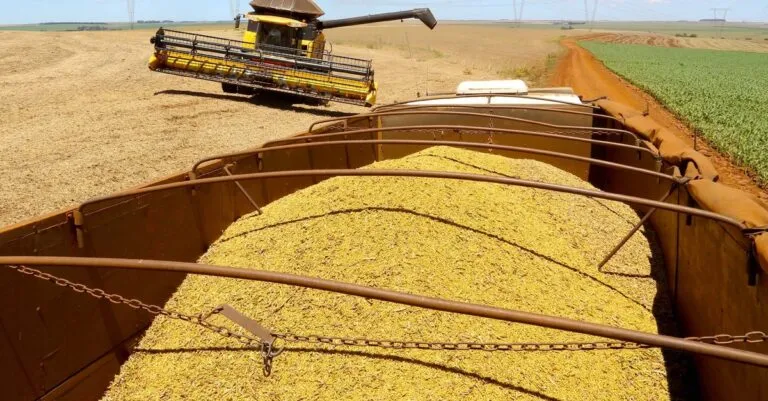 Paraná encerra colheita da soja com quebra de 16% na produção