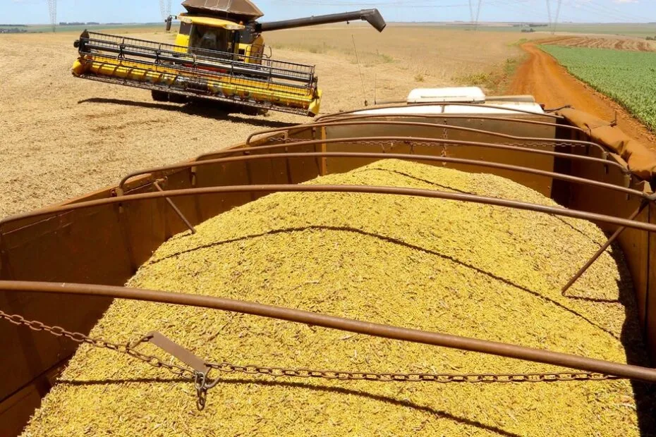 Paraná encerra colheita da soja com quebra de 16% na produção