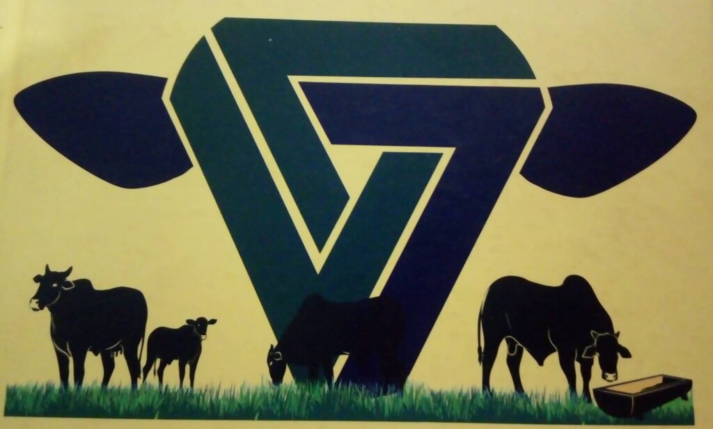 Boi 7.7.7 - Conheça seu conceito. 3 Boi 7.7.7 - Conheça seu conceito.