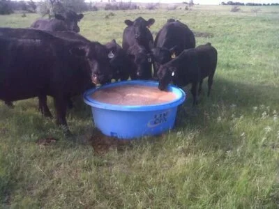 Novidades na Mineralização Bovina 2 Novidades na Mineralização Bovina