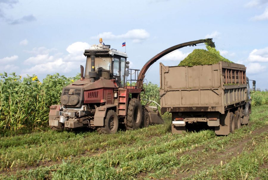 Mega Sorgo Santa Elisa