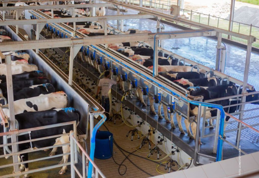 5 Modelos de Ordenha- Qual Mais Eficaz 2 5 modelos de ordenha qual mais eficaz