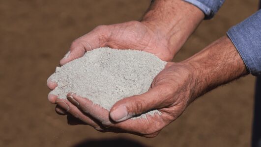 Saiba tudo sobre sal mineral para cavalo! 4 Saiba tudo sobre sal mineral para cavalo!