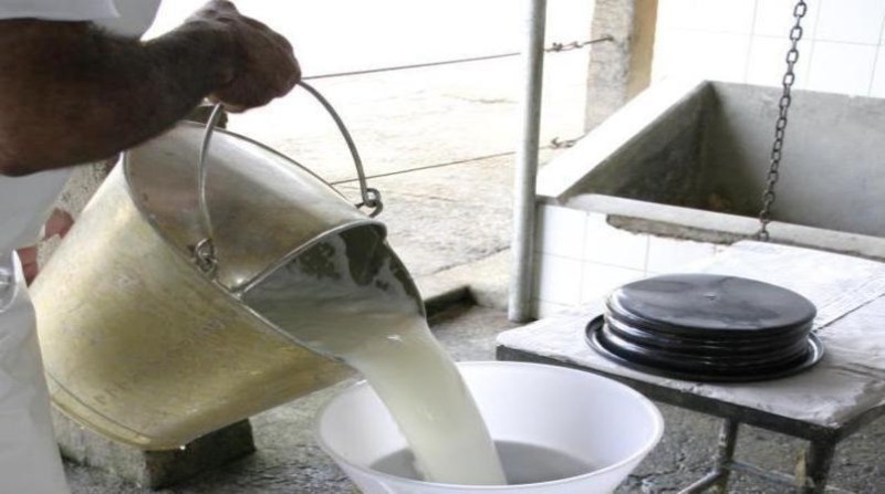 leite caindo balde produtor alcides okubo filho embrapa 30 4 2020