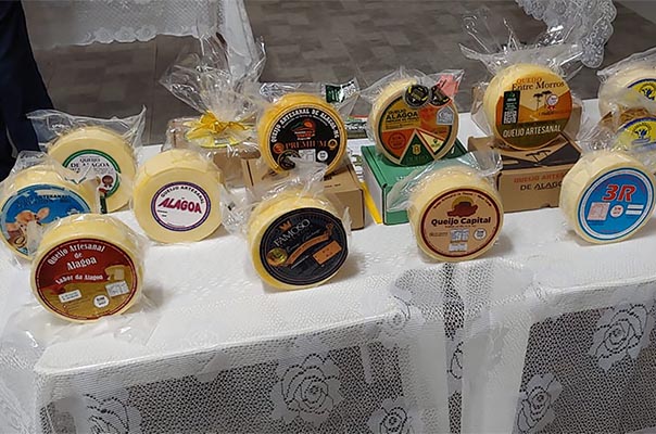 brasil tem cerca de 175 mil produtores de queijo