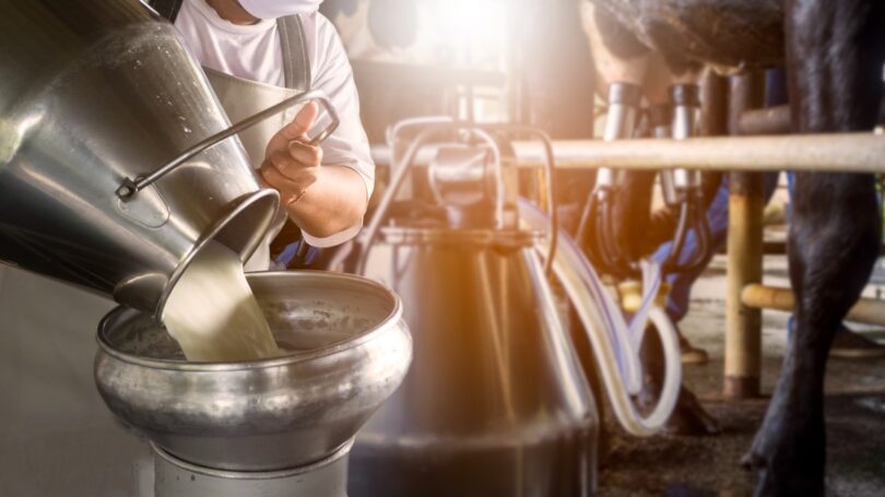 comissao aprova proposta que beneficia produtor de leite 8