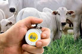 quais cuidados devem ser tomados para execucao no iatf