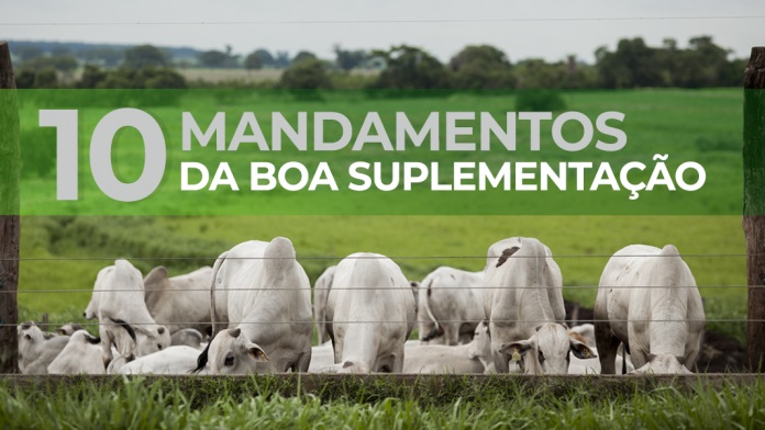 10 perguntas respondidas sobre os mandamentos da da boa suplementacao de bovinos
