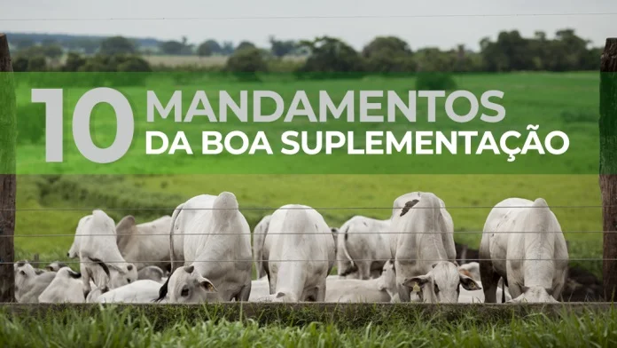 10 PERGUNTAS RESPONDIDAS SOBRE OS MANDAMENTOS DA DA BOA SUPLEMENTAÇÃO DE BOVINOS 2 10 perguntas respondidas sobre os mandamentos da da boa suplementacao de bovinos