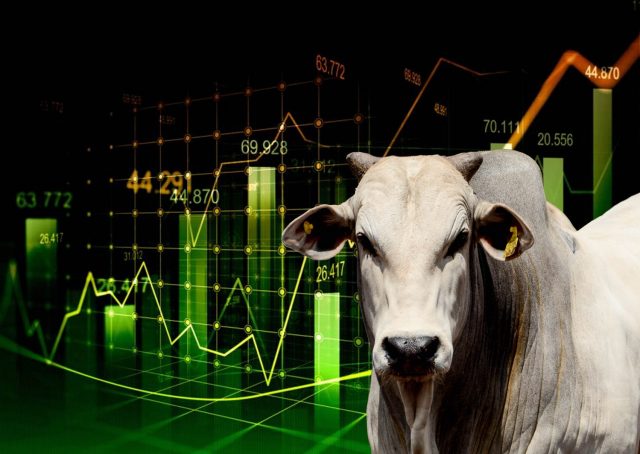 7 projecoes para pecuaria em 2022 conheca e se prepare