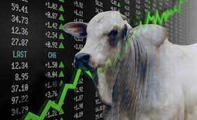 ARROBA DISPARA E VOCÊ PRECISA SABER SAIBER OS MOTIVOS !