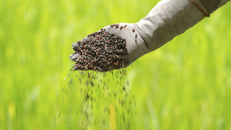 fertilizante insumos agricolas