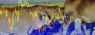 PECUARISTA COLOCA O “BOI NA SOMBRA” COM ARROBA DO BOI GORDO A R$ 350 4 boi segue referencia e boi china esta muito valorizado 7