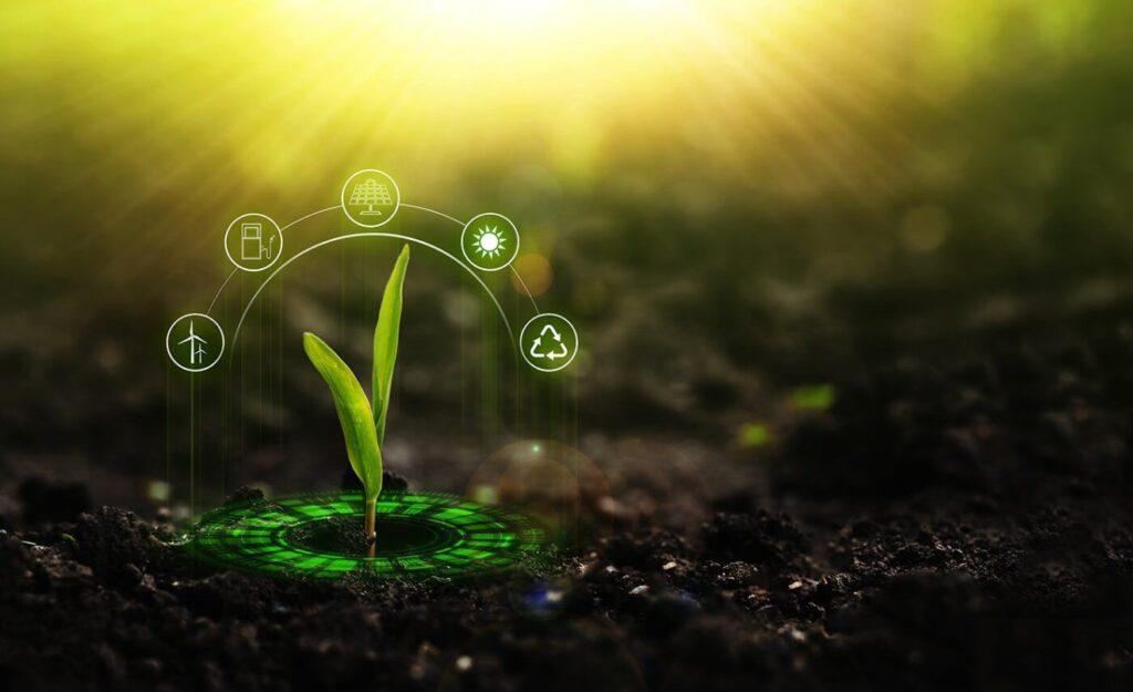 estrategias ajudam culturas a produzir para combate a seca