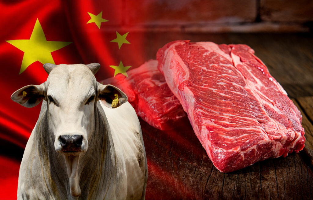 carne vermelha brasileira vai pra china 1