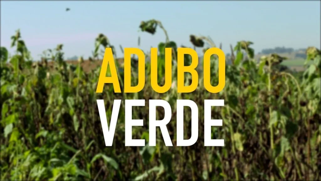 Saiba Mais e Saiba tudo sobre Adubação Verde