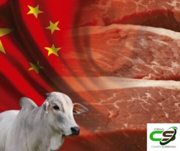 boi china volta a ter agio de r 30 saiba mais 7