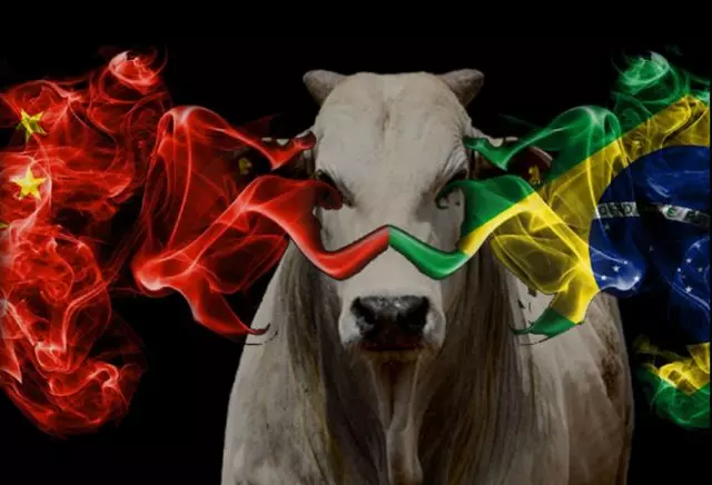 Por Que China Deseja Prejudica Mercado Boi Gordo 1 china brasil 640x436 1