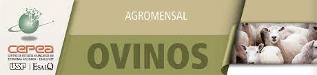 ovinos