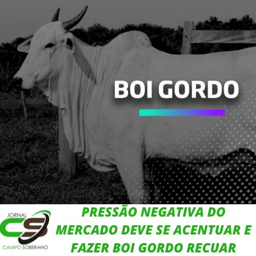 pressao negativa do mercado deve se acentuar e fazer boi gordo recuar