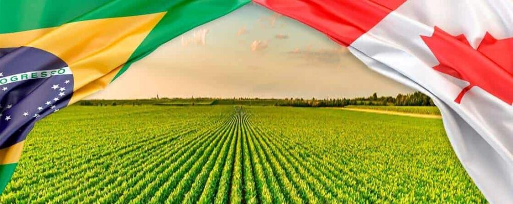 temos uma nova china do agro brasileiro e ela se chama canada