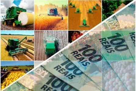 absurdo bndes prorroga e suspende novos financiamentos para o plano safra