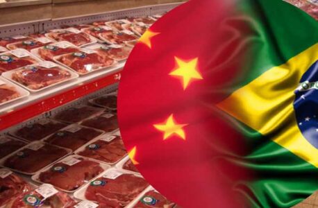 carne bovina Brasil e China exportação de carne bovina