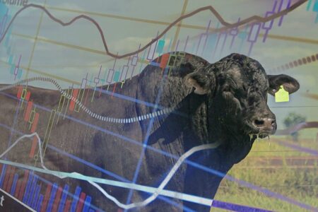 carne segue com queda no mercado interno mas manten a competitividade no