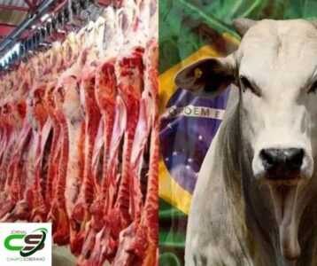 exportacao de carne bovina do brasil supera 200 mil t em marco e bate recorde