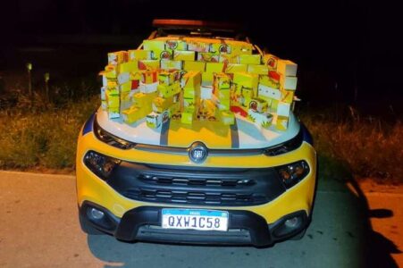 Polícia desarticula quadrilha que roubou mais de R$ 1 milhão em gado 4 image