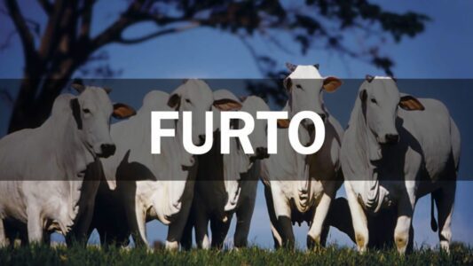 Ladrões de Gado Presos pela Policia Foram Presos No MS