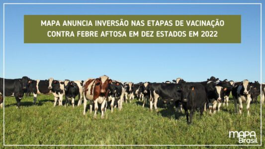 Mapa Supreende e anuncia MUDANÇA nas etapas de vacinação contra febre aftosa em 10 estados em 2022