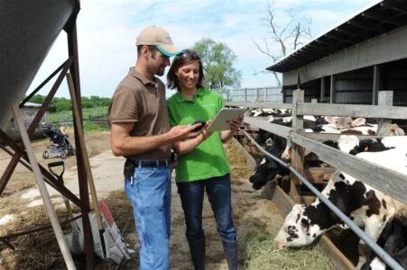 o que devemos esperar do mercado de leite com precos e custos em elevacao