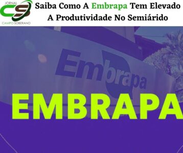 saiba como a embrapa tem elevado a produtividade no semiarido 1