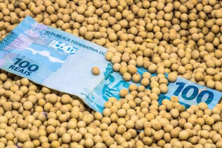 Segundo Anec Exportações  de soja no Brasil deve cair 29% em abril ante recorde de 2021, alem de outros  fatores