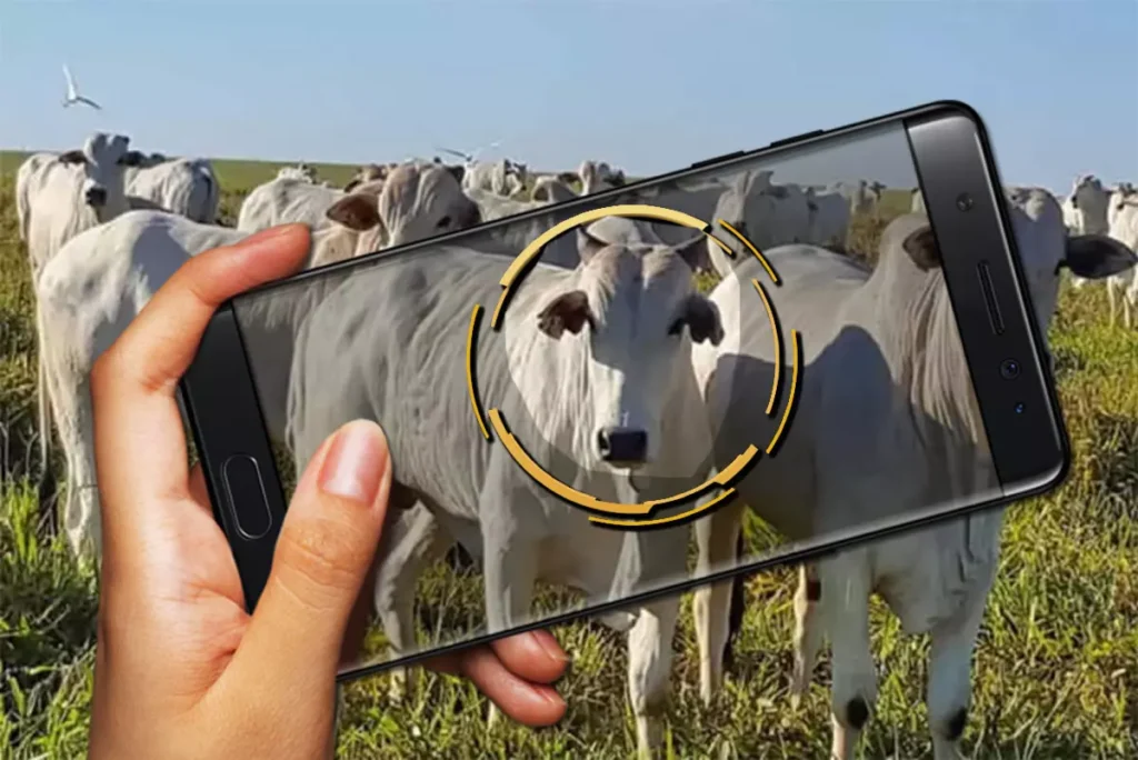 arroba do boi volta com tudo 5