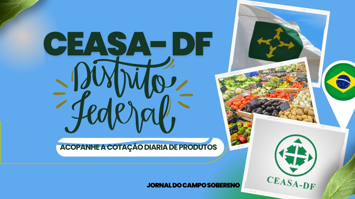 Ceasa Brasília - Cotação Diária Atualizada 1 Ceasa Brasília – Cotação Diária Atualizada