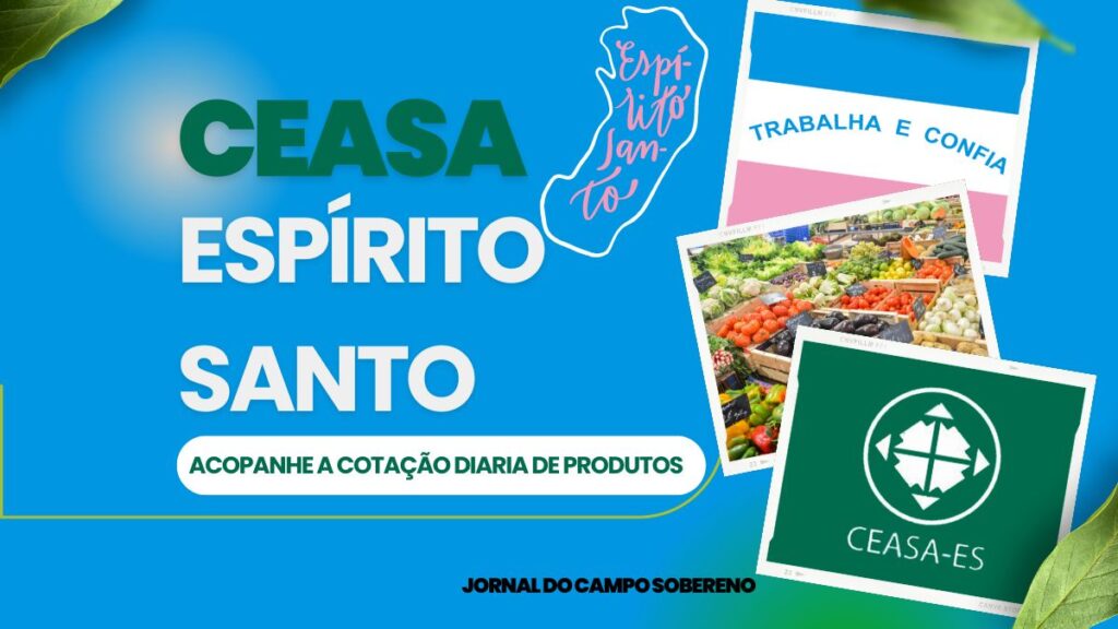 Ceasa Espirito Santo