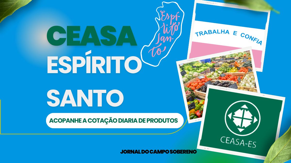 Ceasa Espirito Santo