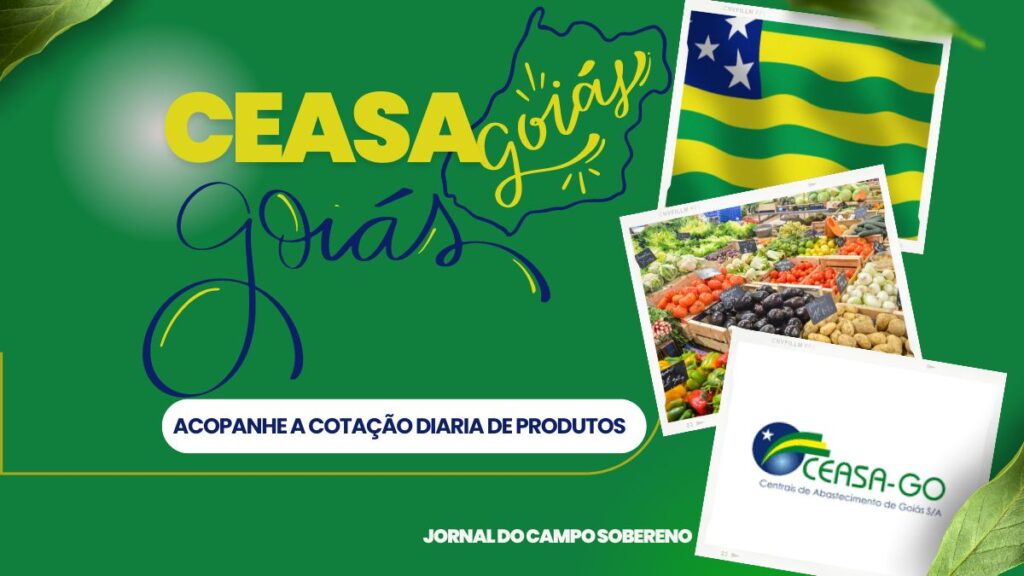 Ceasa Goiás