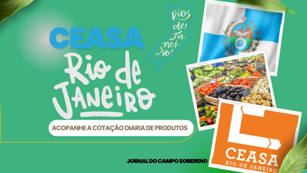 Ceasa Rio de janeiro